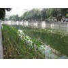 廣東清遠(yuǎn)生態(tài)風(fēng)景區(qū)地段護坡綠色生態(tài)袋,綠化袋杰袖工廠