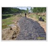 廣東聚合物PP生態(tài)袋,廣西貴州福建綠化袋清倉