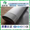 廠家供應(yīng)實(shí)力派丙綸防水卷材滌綸防水布 防潮材料