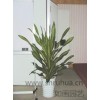 上海綠植租賃好不好 綠植租賃貴不貴 綠植租賃性價(jià)比 如畫供