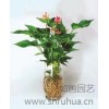酒店綠化養(yǎng)護(hù)收費(fèi) 商務(wù)樓綠化養(yǎng)護(hù) 售樓中心綠化養(yǎng)護(hù) 如畫供