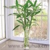 私家會(huì)所綠化養(yǎng)護(hù) 盆景綠化養(yǎng)護(hù)公司 綠化養(yǎng)護(hù) 如畫供