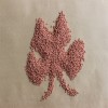 廣東佛山食品級(jí)PVC顆粒膠料透明環(huán)保PVC不含鄰苯二甲酸鹽